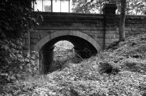 Railway bridge September 2007